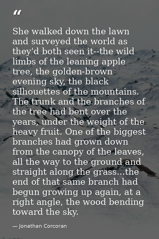 She walked down the lawn and surveyed the world as they'd both seen it--the wild limbs of the leaning apple tree, the go — Jonathan Corcoran