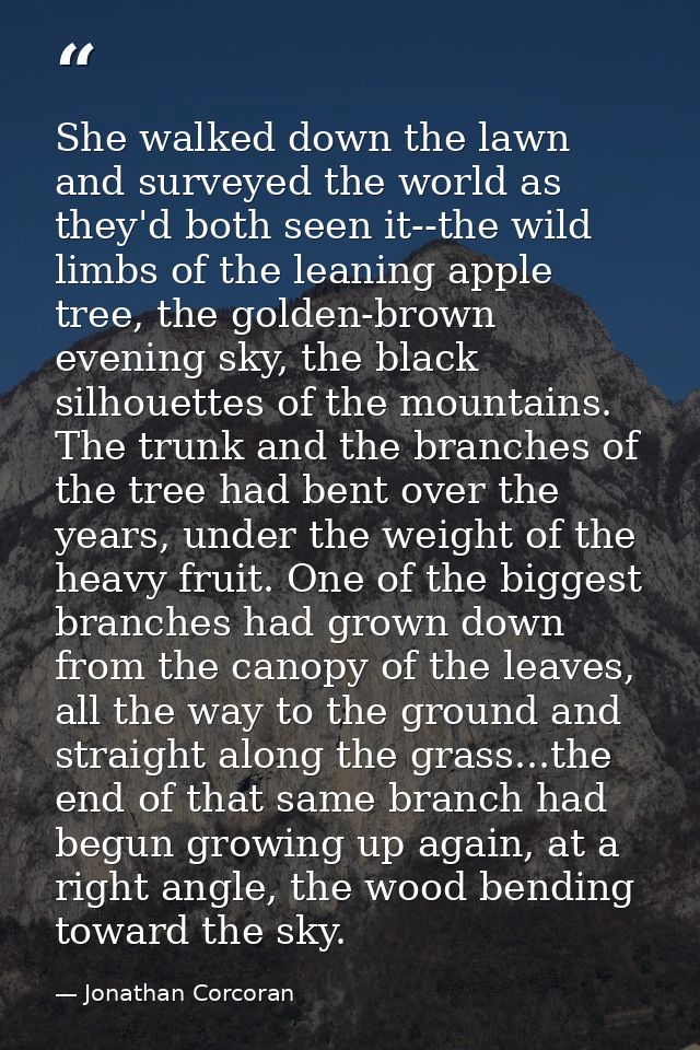 She walked down the lawn and surveyed the world as they'd both seen it--the wild limbs of the leaning apple tree, the go — Jonathan Corcoran