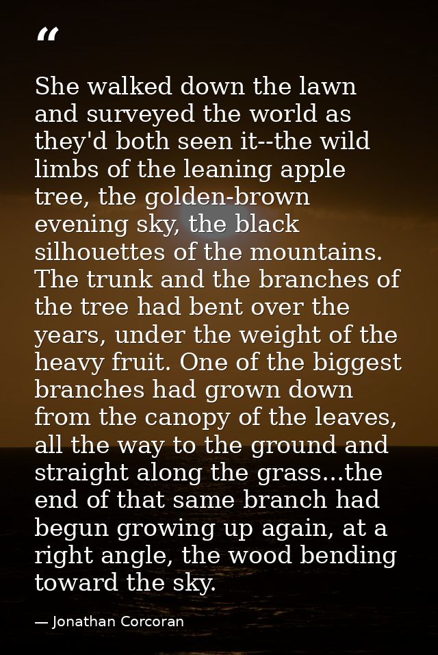 She walked down the lawn and surveyed the world as they'd both seen it--the wild limbs of the leaning apple tree, the go — Jonathan Corcoran