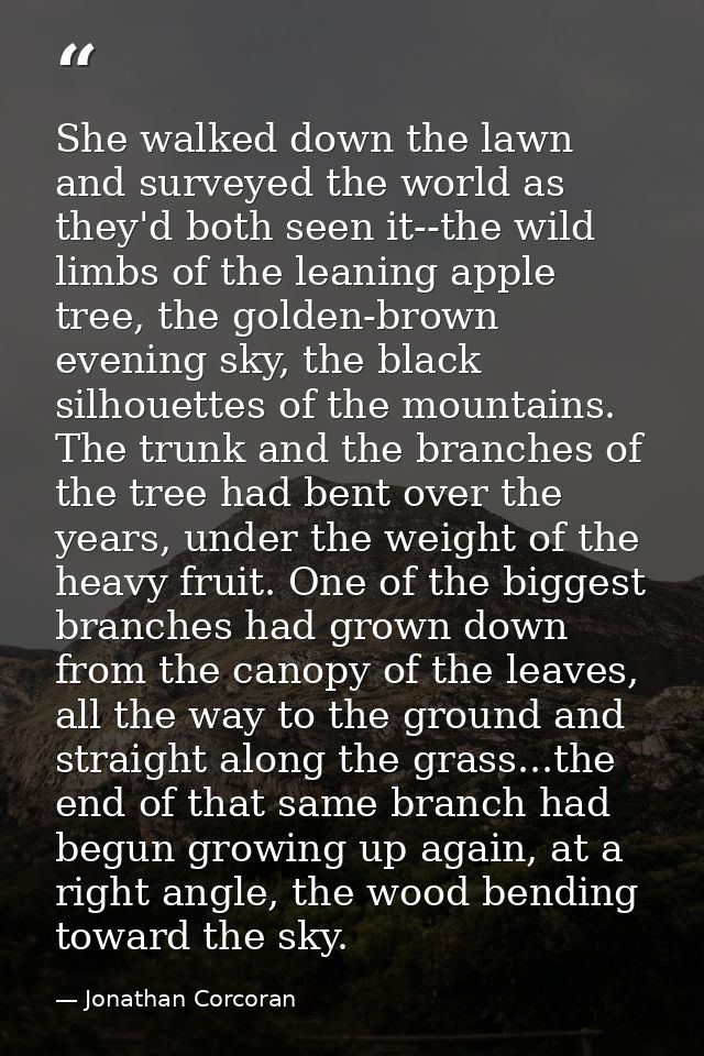 She walked down the lawn and surveyed the world as they'd both seen it--the wild limbs of the leaning apple tree, the go — Jonathan Corcoran