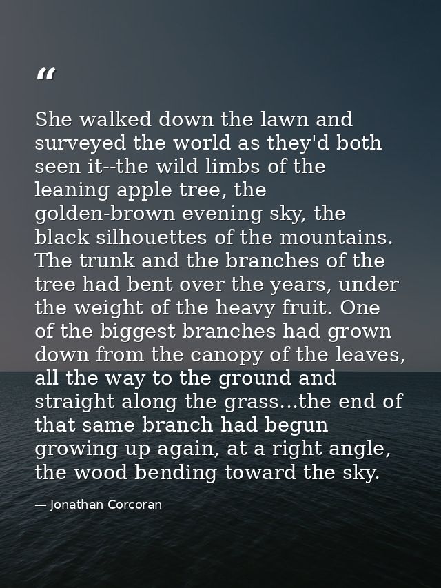 She walked down the lawn and surveyed the world as they'd both seen it--the wild limbs of the leaning apple tree, the go — Jonathan Corcoran