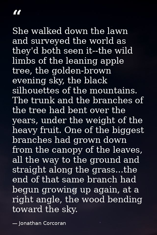 She walked down the lawn and surveyed the world as they'd both seen it--the wild limbs of the leaning apple tree, the go — Jonathan Corcoran