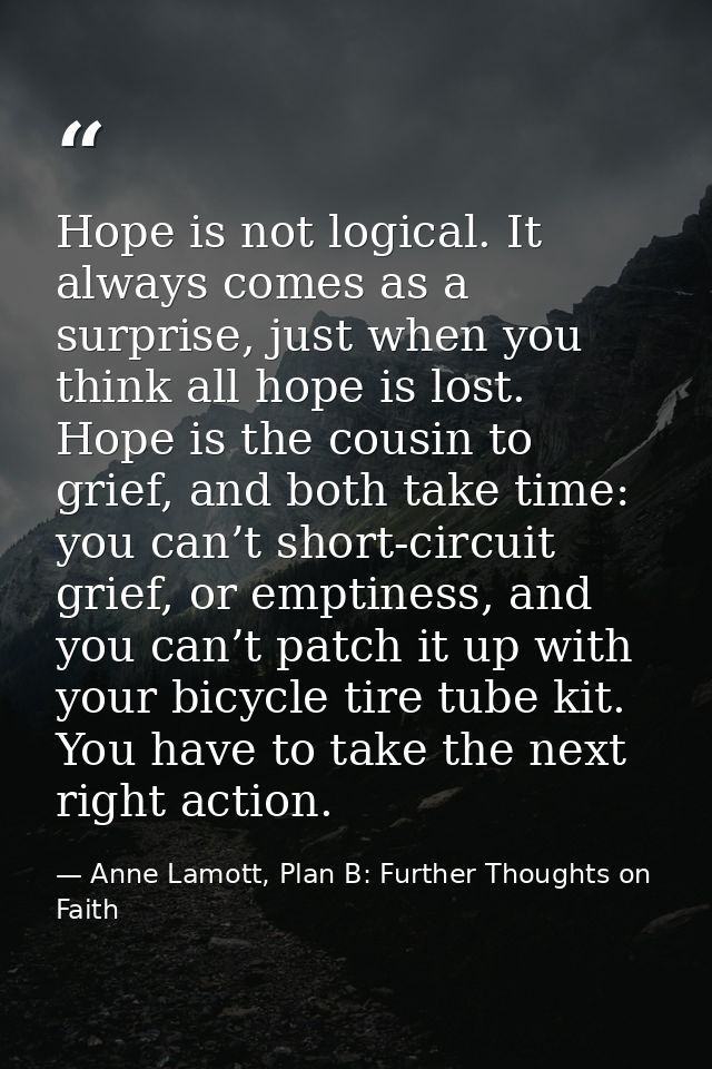 Hope is not logical. It always comes as a surprise, just when you think all hope is lost. Hope is the cousin to grief, a — Anne Lamott, Plan B: Further Thoughts on Faith