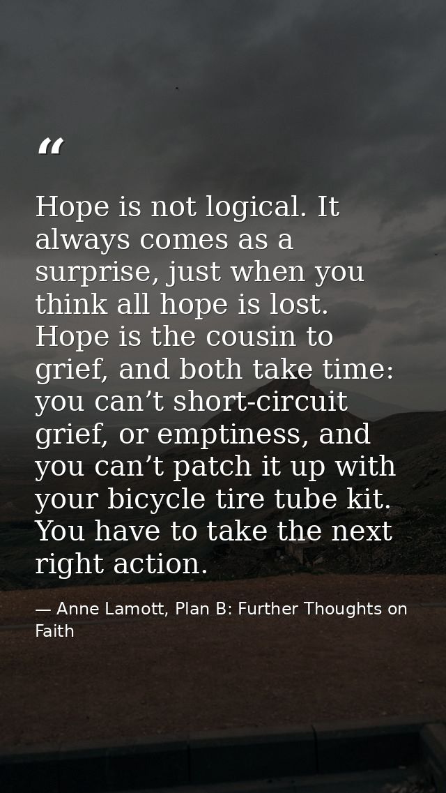 Hope is not logical. It always comes as a surprise, just when you think all hope is lost. Hope is the cousin to grief, a — Anne Lamott, Plan B: Further Thoughts on Faith