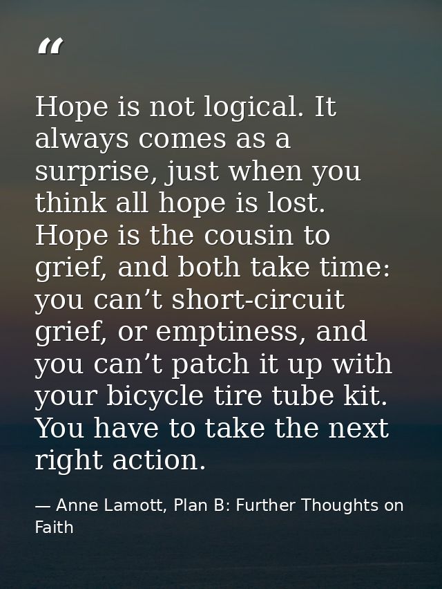 Hope is not logical. It always comes as a surprise, just when you think all hope is lost. Hope is the cousin to grief, a — Anne Lamott, Plan B: Further Thoughts on Faith