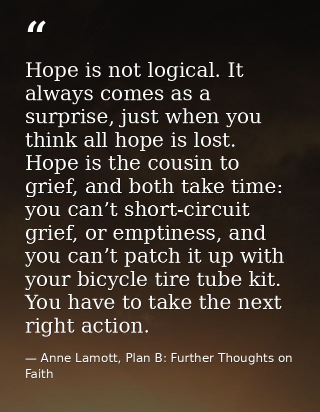 Hope is not logical. It always comes as a surprise, just when you think all hope is lost. Hope is the cousin to grief, a — Anne Lamott, Plan B: Further Thoughts on Faith