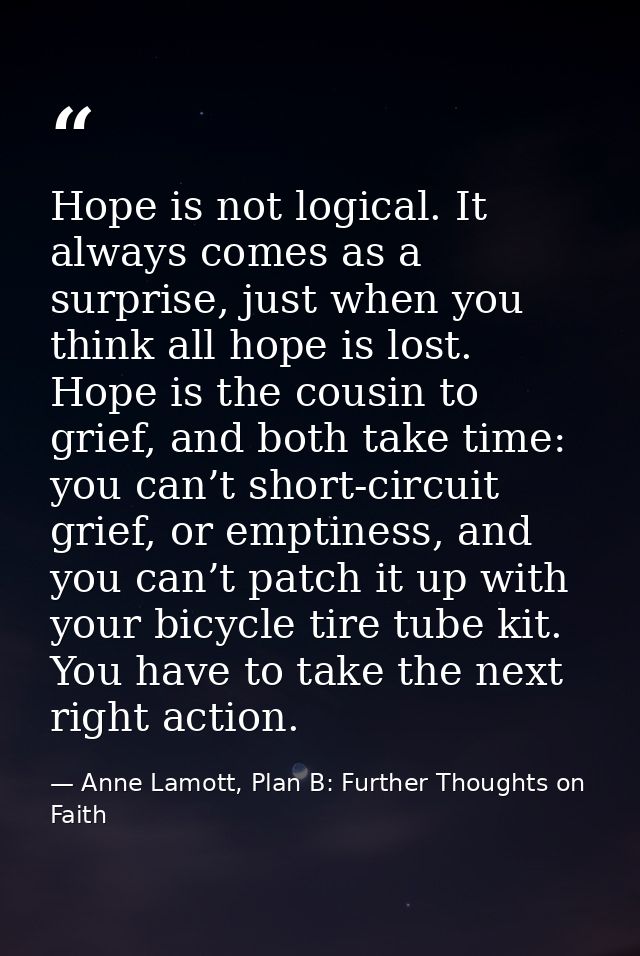 Hope is not logical. It always comes as a surprise, just when you think all hope is lost. Hope is the cousin to grief, a — Anne Lamott, Plan B: Further Thoughts on Faith
