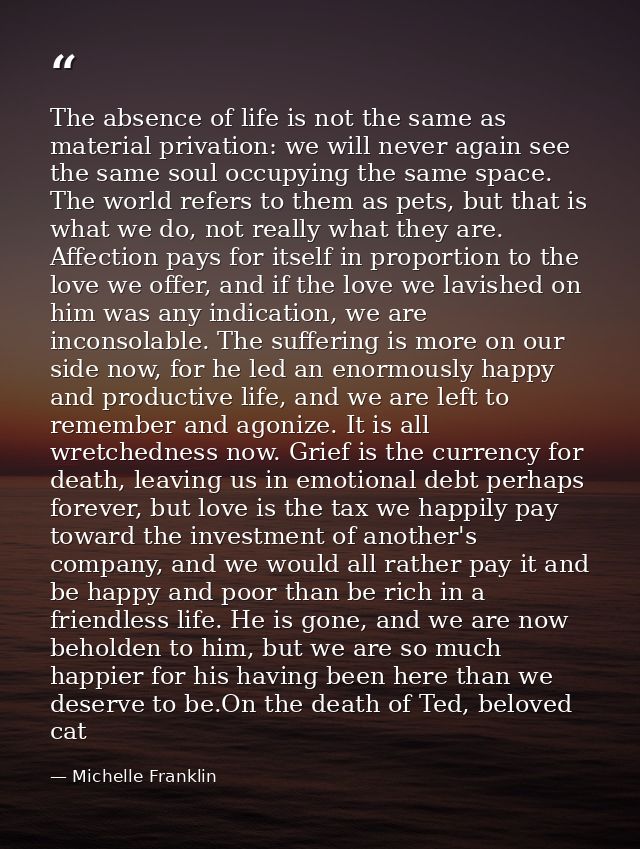 The absence of life is not the same as material privation: we will never again see the same soul occupying the same spac — Michelle Franklin
