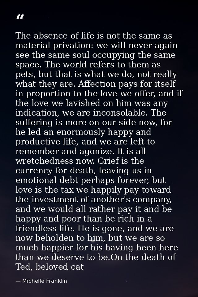The absence of life is not the same as material privation: we will never again see the same soul occupying the same spac — Michelle Franklin