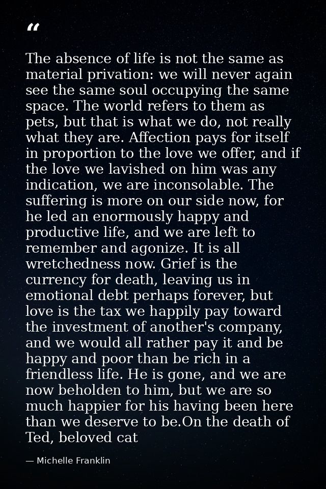 The absence of life is not the same as material privation: we will never again see the same soul occupying the same spac — Michelle Franklin