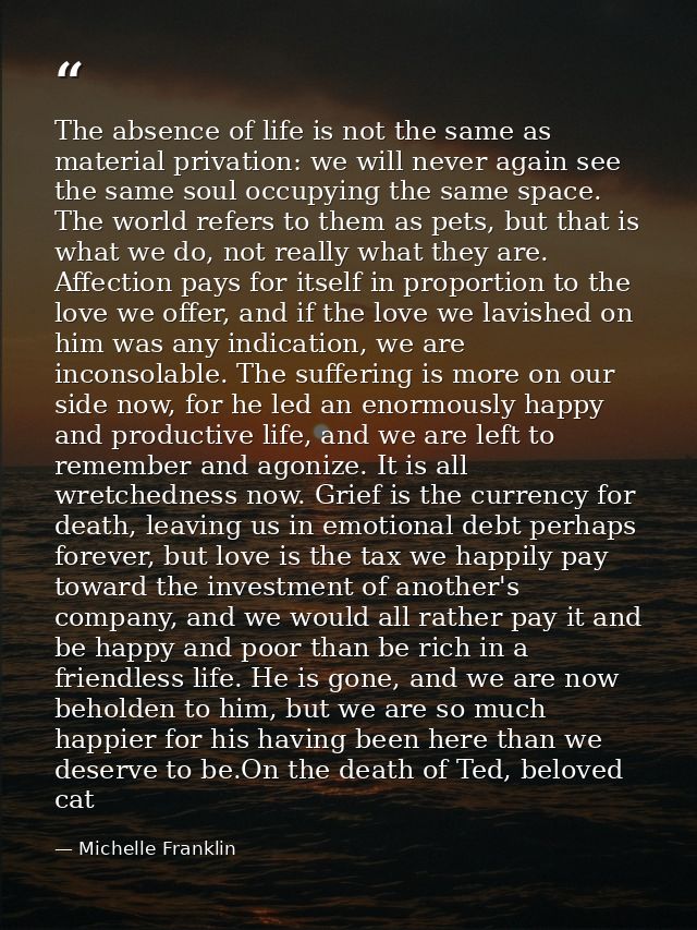The absence of life is not the same as material privation: we will never again see the same soul occupying the same spac — Michelle Franklin