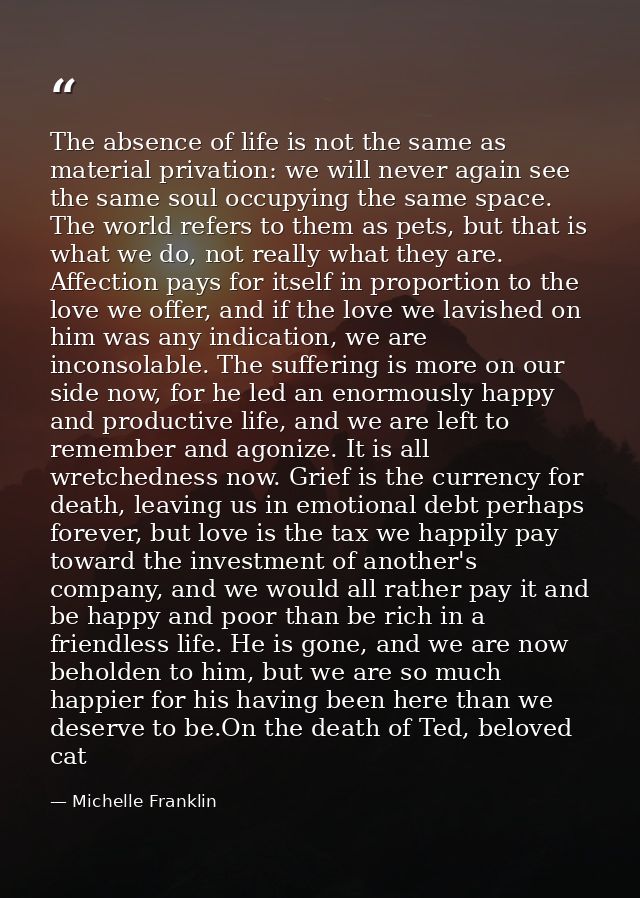 The absence of life is not the same as material privation: we will never again see the same soul occupying the same spac — Michelle Franklin