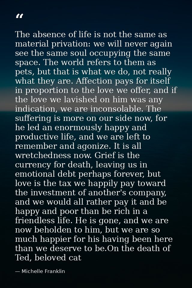 The absence of life is not the same as material privation: we will never again see the same soul occupying the same spac — Michelle Franklin