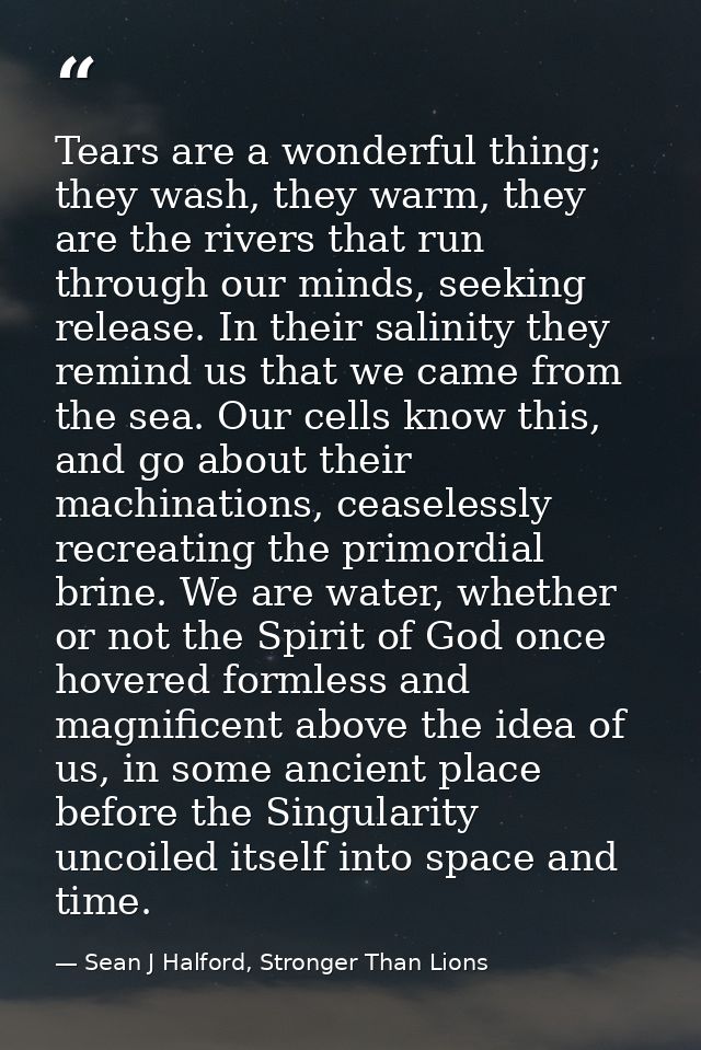 Tears are a wonderful thing; they wash, they warm, they are the rivers that run through our minds, seeking release. In t — Sean J Halford, Stronger Than Lions