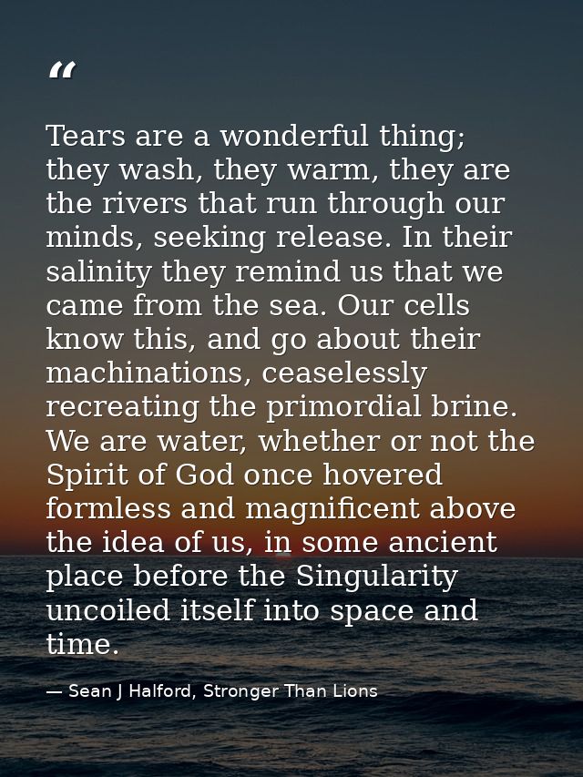 Tears are a wonderful thing; they wash, they warm, they are the rivers that run through our minds, seeking release. In t — Sean J Halford, Stronger Than Lions