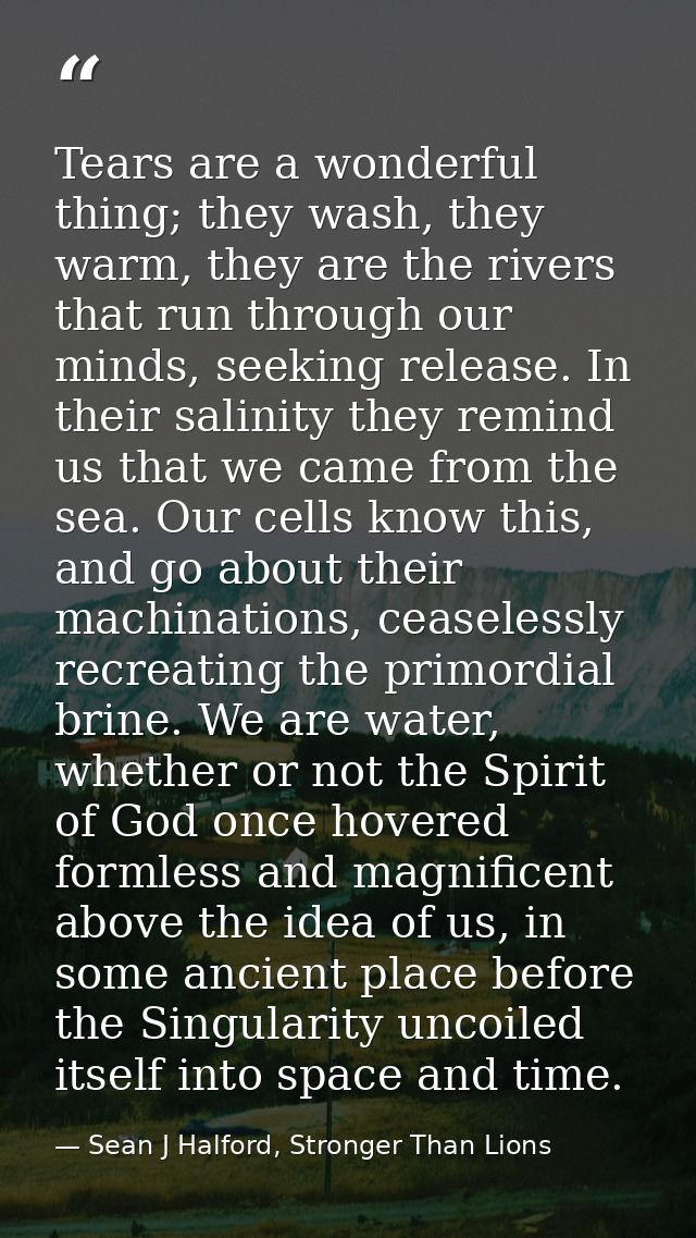 Tears are a wonderful thing; they wash, they warm, they are the rivers that run through our minds, seeking release. In t — Sean J Halford, Stronger Than Lions