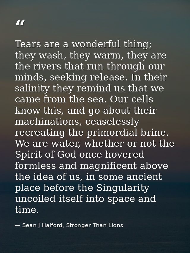 Tears are a wonderful thing; they wash, they warm, they are the rivers that run through our minds, seeking release. In t — Sean J Halford, Stronger Than Lions