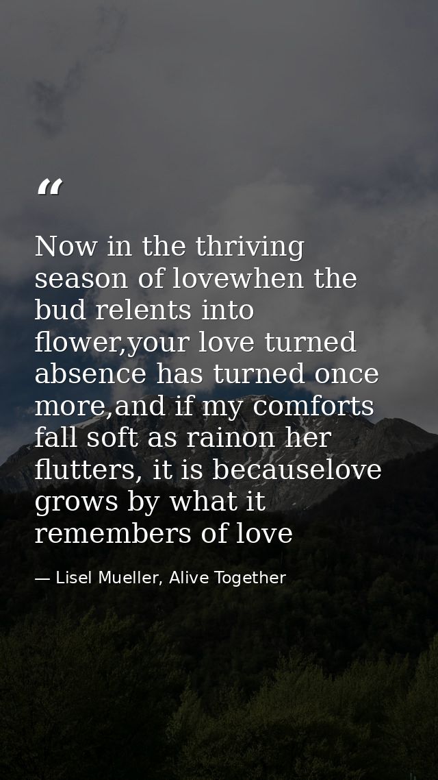 Now in the thriving season of lovewhen the bud relents into flower,your love turned absence has turned once more,and if  — Lisel Mueller, Alive Together