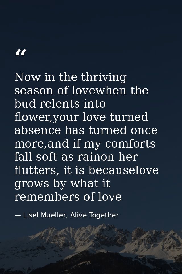 Now in the thriving season of lovewhen the bud relents into flower,your love turned absence has turned once more,and if  — Lisel Mueller, Alive Together