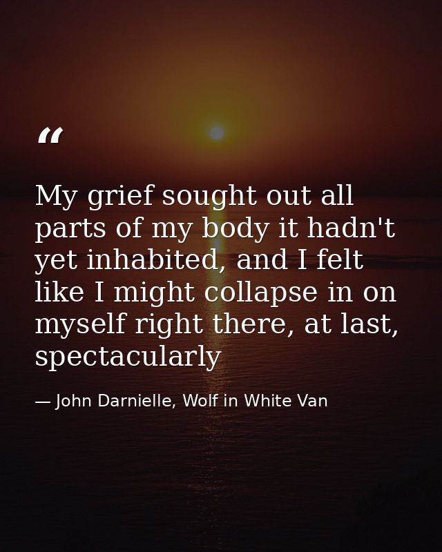 My grief sought out all parts of my body it hadn't yet inhabited, and I felt like I might collapse in on myself right th — John Darnielle, Wolf in White Van