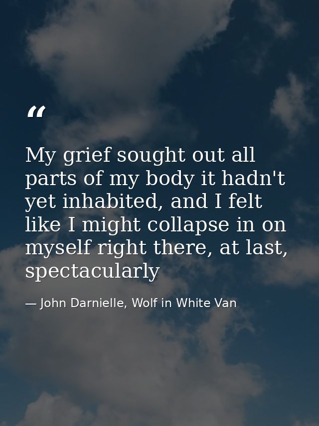 My grief sought out all parts of my body it hadn't yet inhabited, and I felt like I might collapse in on myself right th — John Darnielle, Wolf in White Van