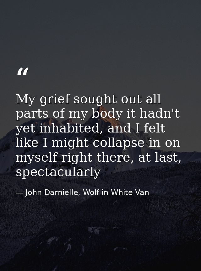 My grief sought out all parts of my body it hadn't yet inhabited, and I felt like I might collapse in on myself right th — John Darnielle, Wolf in White Van