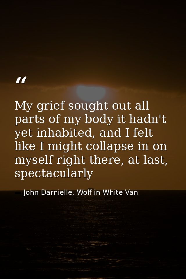 My grief sought out all parts of my body it hadn't yet inhabited, and I felt like I might collapse in on myself right th — John Darnielle, Wolf in White Van