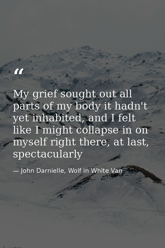 My grief sought out all parts of my body it hadn't yet inhabited, and I felt like I might collapse in on myself right th — John Darnielle, Wolf in White Van