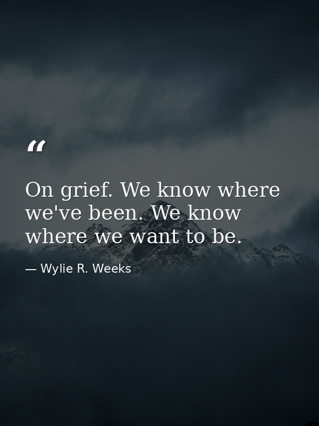 On grief. We know where we've been. We know where we want to be. — Wylie R. Weeks