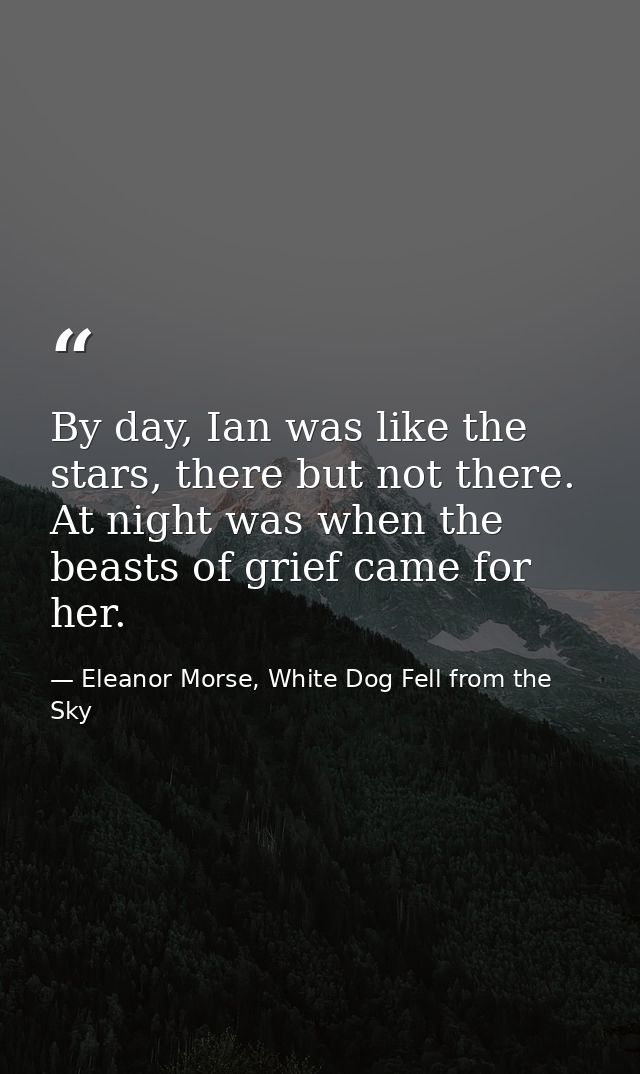 By day, Ian was like the stars, there but not there. At night was when the beasts of grief came for her. — Eleanor Morse, White Dog Fell from the Sky