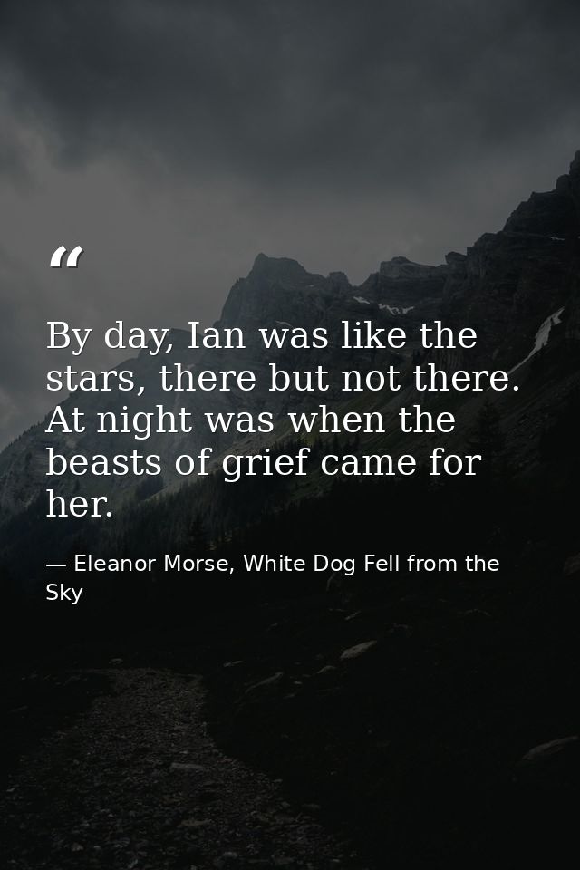 By day, Ian was like the stars, there but not there. At night was when the beasts of grief came for her. — Eleanor Morse, White Dog Fell from the Sky