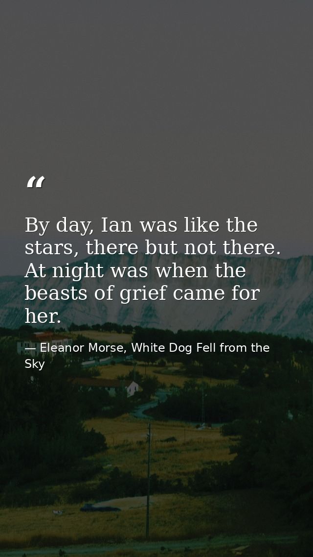 By day, Ian was like the stars, there but not there. At night was when the beasts of grief came for her. — Eleanor Morse, White Dog Fell from the Sky