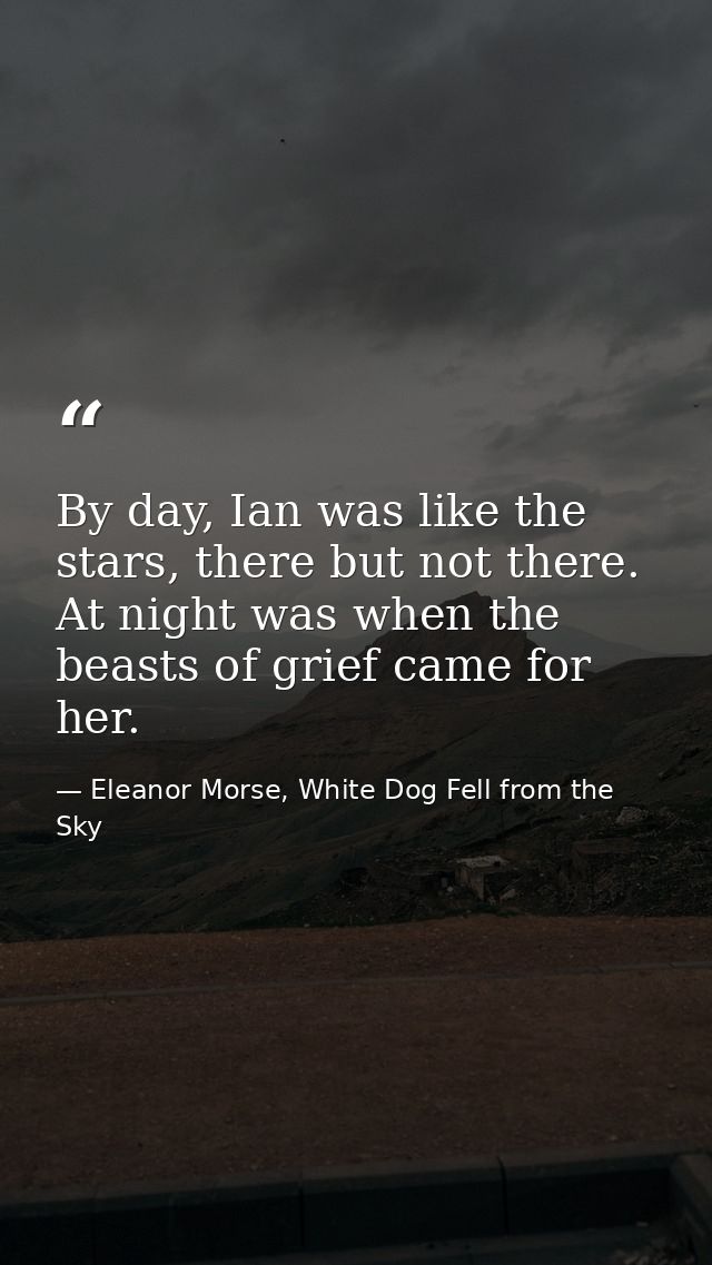 By day, Ian was like the stars, there but not there. At night was when the beasts of grief came for her. — Eleanor Morse, White Dog Fell from the Sky