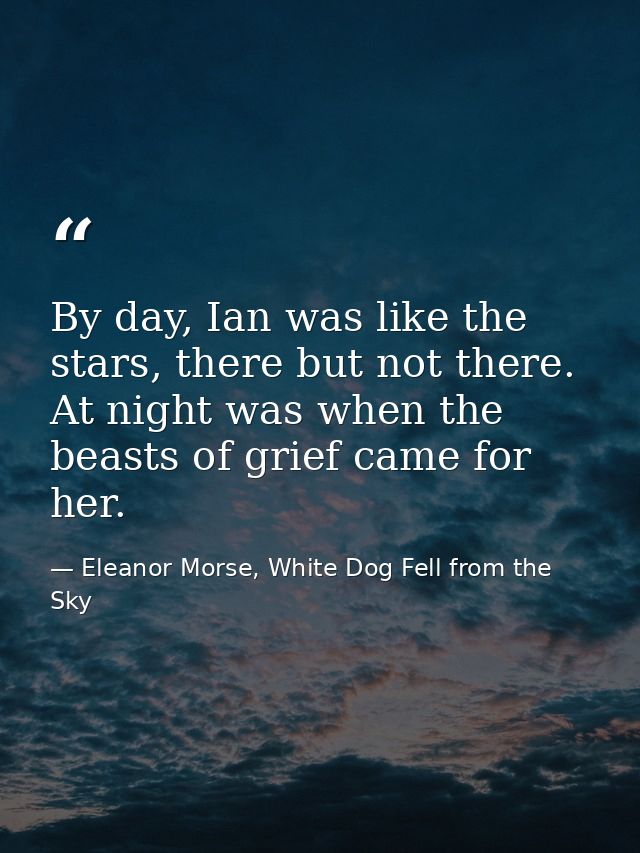 By day, Ian was like the stars, there but not there. At night was when the beasts of grief came for her. — Eleanor Morse, White Dog Fell from the Sky
