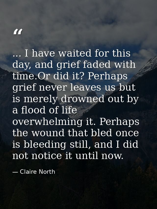 ... I have waited for this day, and grief faded with time.Or did it? Perhaps grief never leaves us but is merely drowned — Claire North