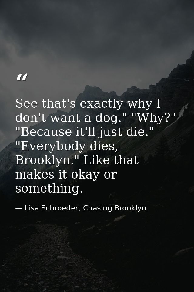 See that's exactly why I don't want a dog." "Why?" "Because it'll just die." "Everybody dies, Brooklyn." Like that makes — Lisa Schroeder, Chasing Brooklyn