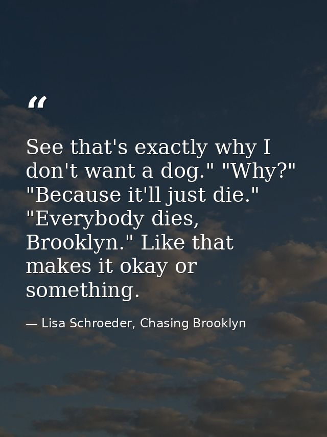 See that's exactly why I don't want a dog." "Why?" "Because it'll just die." "Everybody dies, Brooklyn." Like that makes — Lisa Schroeder, Chasing Brooklyn