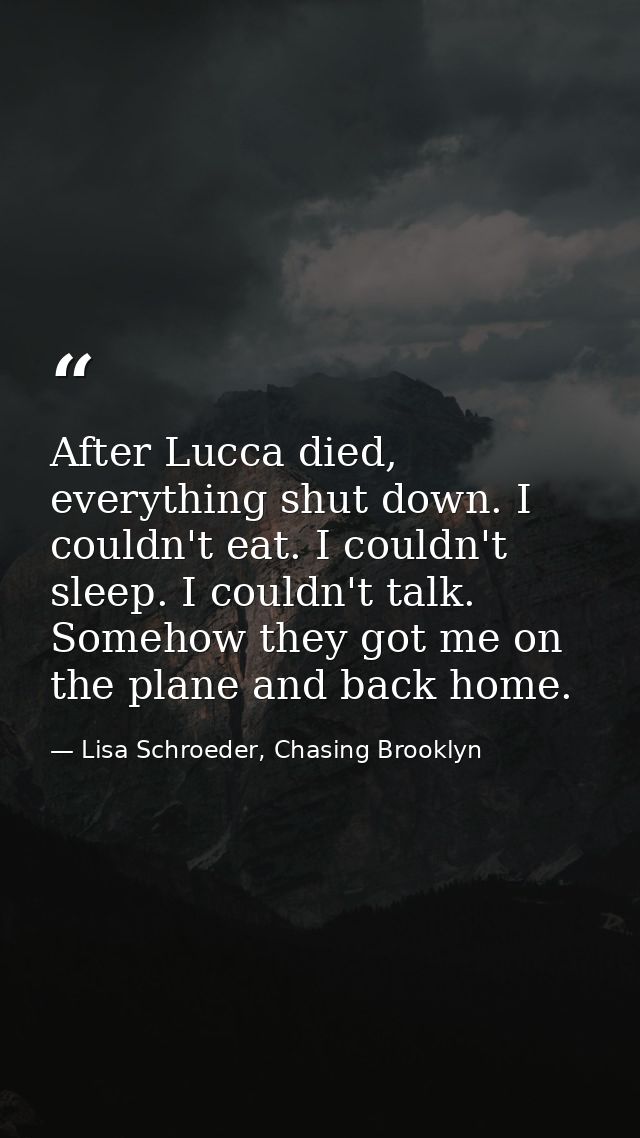 After Lucca died, everything shut down. I couldn't eat. I couldn't sleep. I couldn't talk. Somehow they got me on the pl — Lisa Schroeder, Chasing Brooklyn