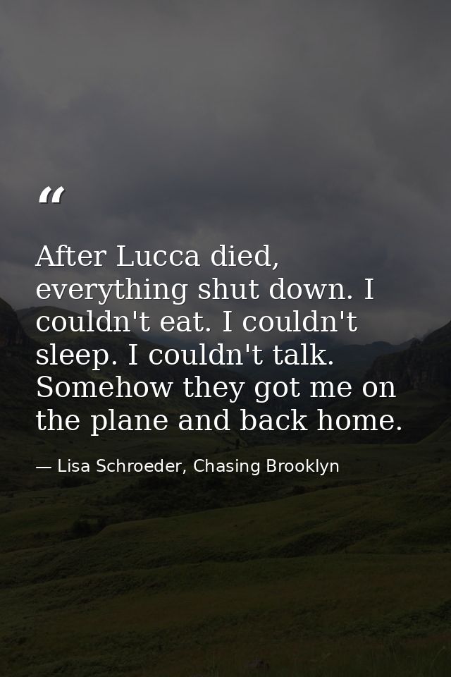 After Lucca died, everything shut down. I couldn't eat. I couldn't sleep. I couldn't talk. Somehow they got me on the pl — Lisa Schroeder, Chasing Brooklyn
