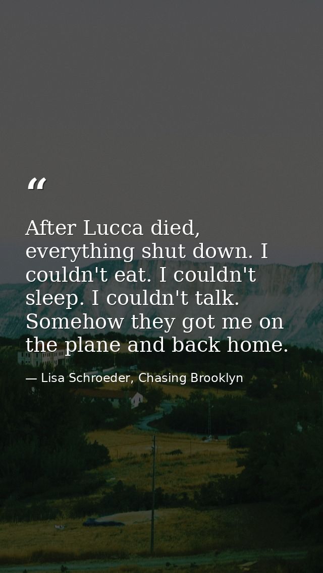 After Lucca died, everything shut down. I couldn't eat. I couldn't sleep. I couldn't talk. Somehow they got me on the pl — Lisa Schroeder, Chasing Brooklyn