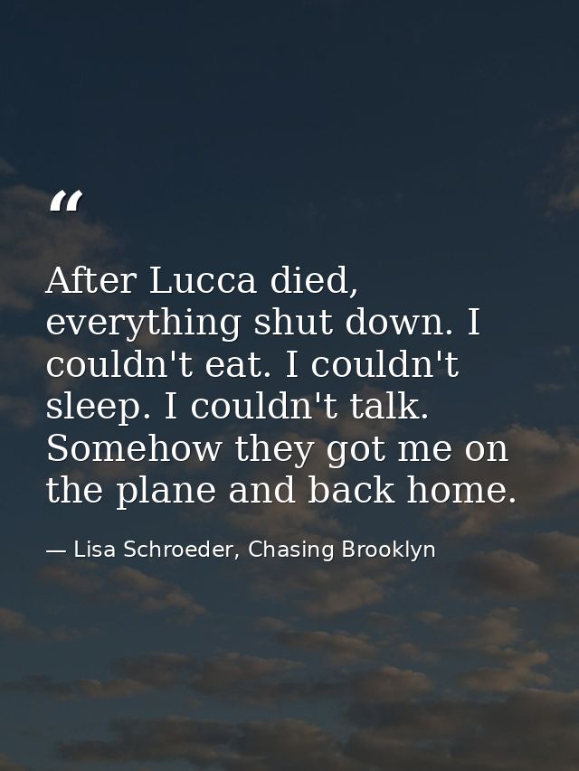 After Lucca died, everything shut down. I couldn't eat. I couldn't sleep. I couldn't talk. Somehow they got me on the pl — Lisa Schroeder, Chasing Brooklyn
