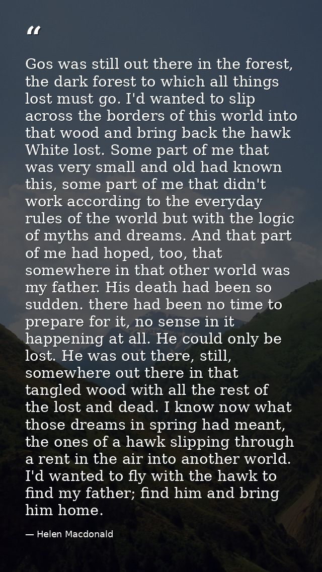 Gos was still out there in the forest, the dark forest to which all things lost must go. I'd wanted to slip across the b — Helen Macdonald