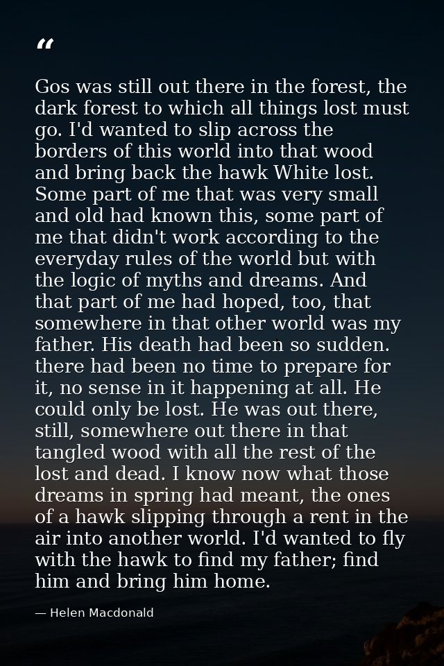 Gos was still out there in the forest, the dark forest to which all things lost must go. I'd wanted to slip across the b — Helen Macdonald