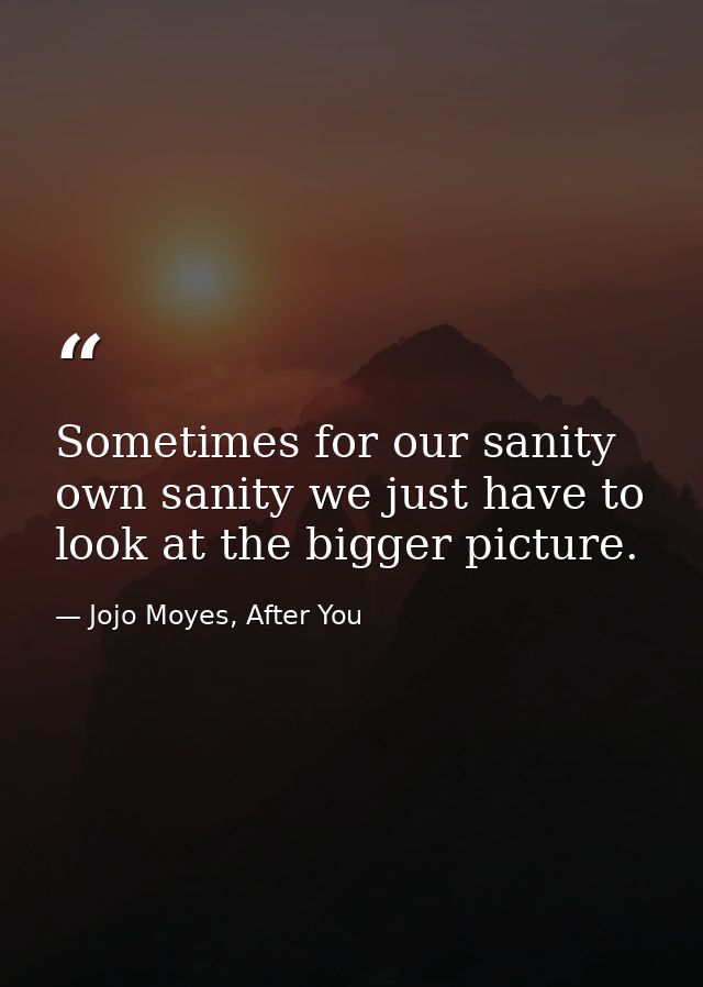 Sometimes for our sanity own sanity we just have to look at the bigger picture. — Jojo Moyes, After You