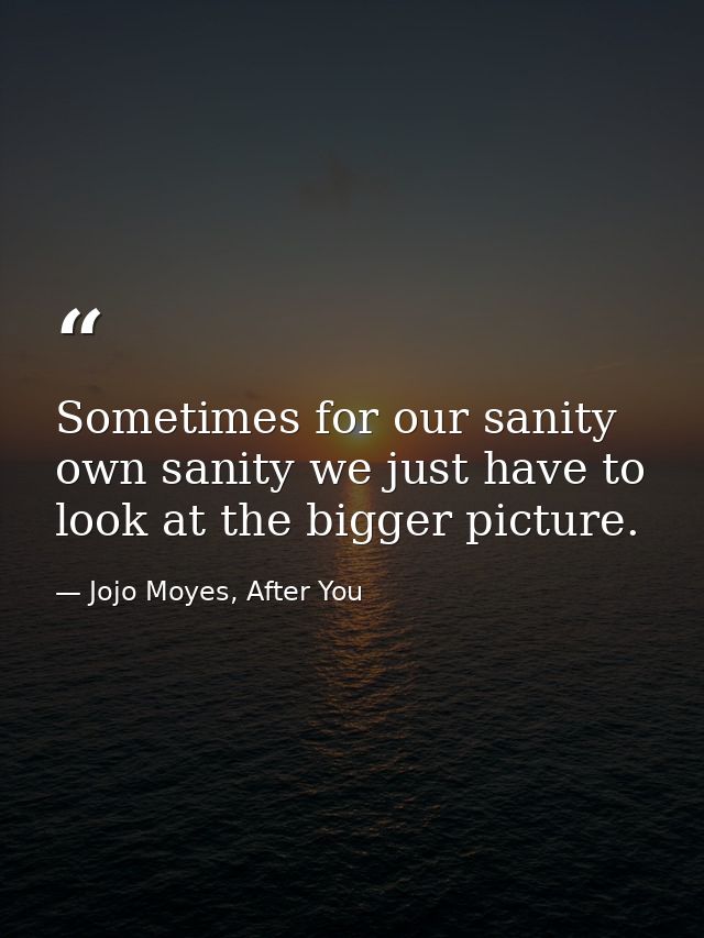 Sometimes for our sanity own sanity we just have to look at the bigger picture. — Jojo Moyes, After You