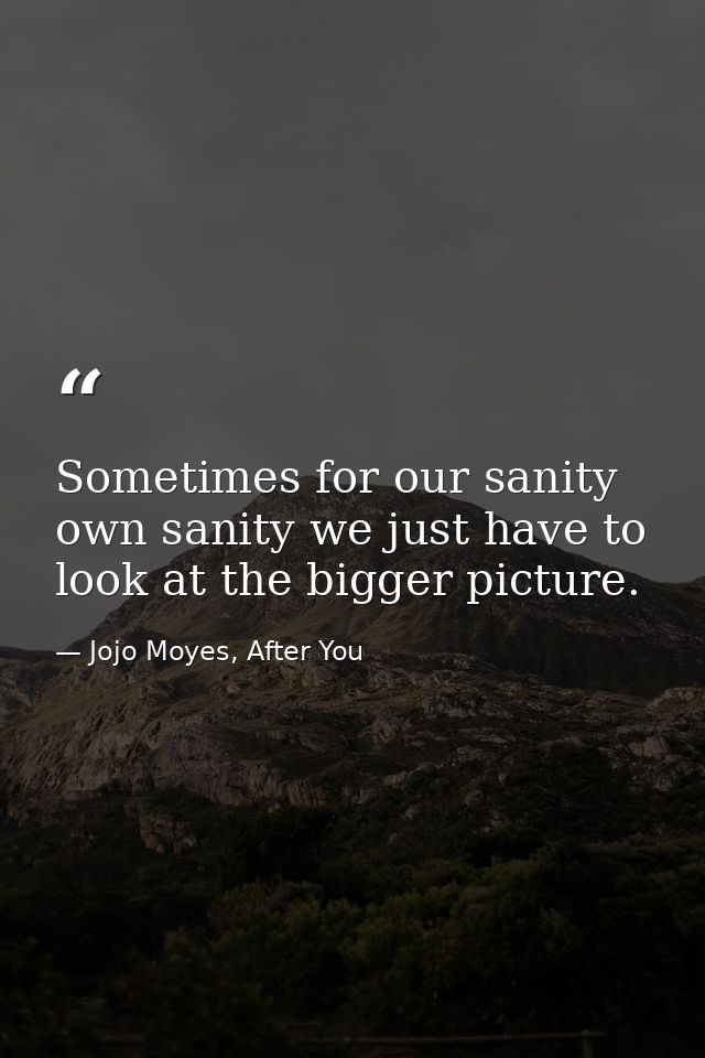 Sometimes for our sanity own sanity we just have to look at the bigger picture. — Jojo Moyes, After You
