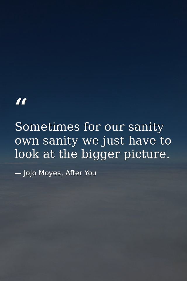 Sometimes for our sanity own sanity we just have to look at the bigger picture. — Jojo Moyes, After You