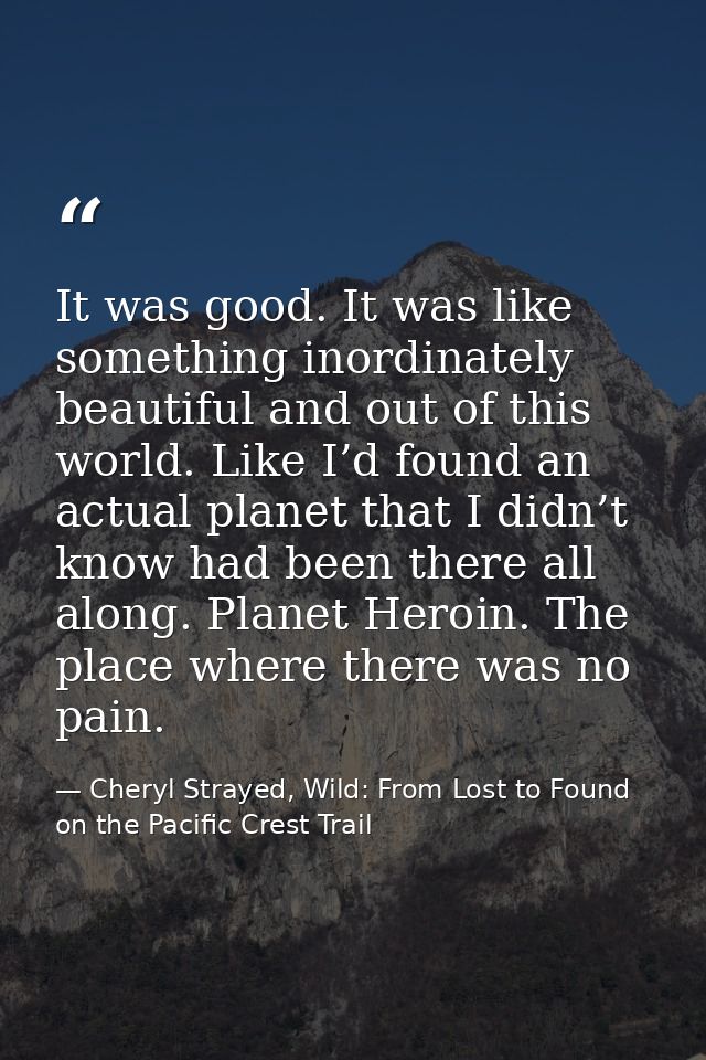 It was good. It was like something inordinately beautiful and out of this world. Like I’d found an actual planet that I  — Cheryl Strayed, Wild: From Lost to Found on the Pacific Crest Trail