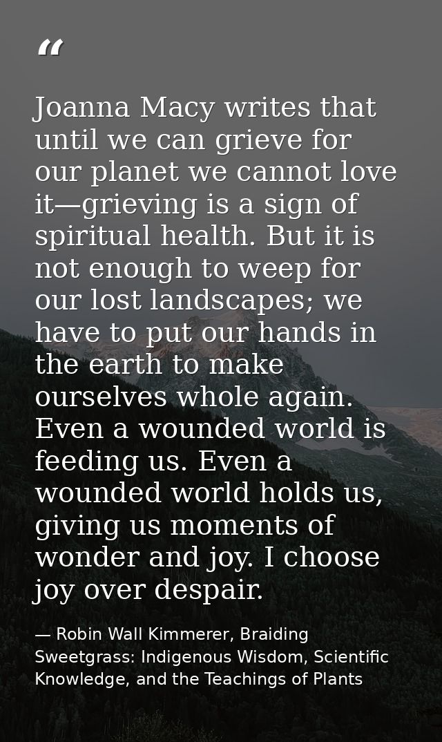 Joanna Macy writes that until we can grieve for our planet we cannot love it—grieving is a sign of spiritual health. But — Robin Wall Kimmerer, Braiding Sweetgrass: Indigenous Wisdom, Scientific Knowledge, and the Teachings of Plants
