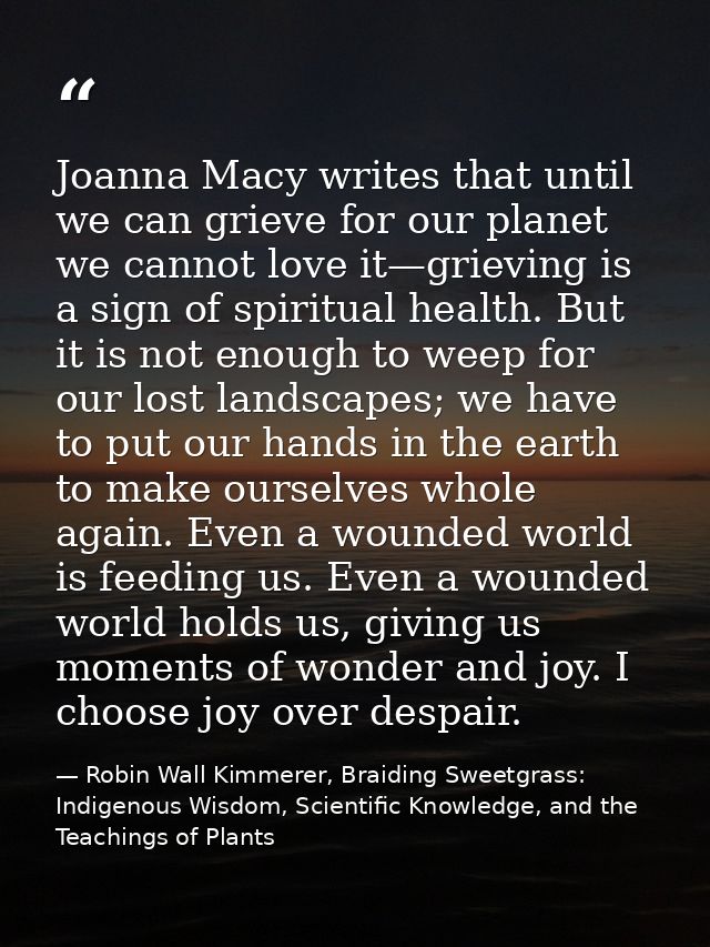 Joanna Macy writes that until we can grieve for our planet we cannot love it—grieving is a sign of spiritual health. But — Robin Wall Kimmerer, Braiding Sweetgrass: Indigenous Wisdom, Scientific Knowledge, and the Teachings of Plants
